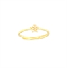 ANELLO ARGENTO (R)