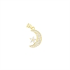 CIONDOLO ARGENTO ZIRCONE