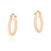 ORECCHINO ARGENTO ZIRCONE