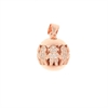 CIONDOLO ARGENTO ZIRCONE