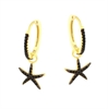 ORECCHINO ARGENTO ZIRCONE