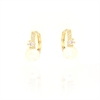 ORECCHINO ARGENTO ZIRCONE