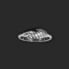 ANELLO BRASS